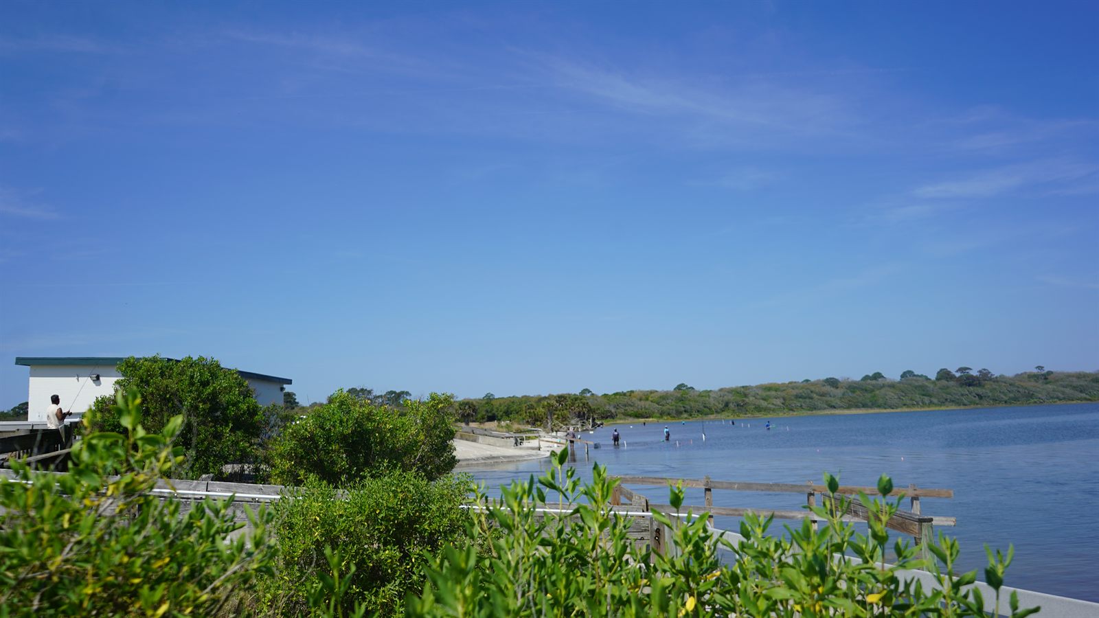 Guana, Timucuan, and South Point Loop Trail Loop - A Whole New World photo
