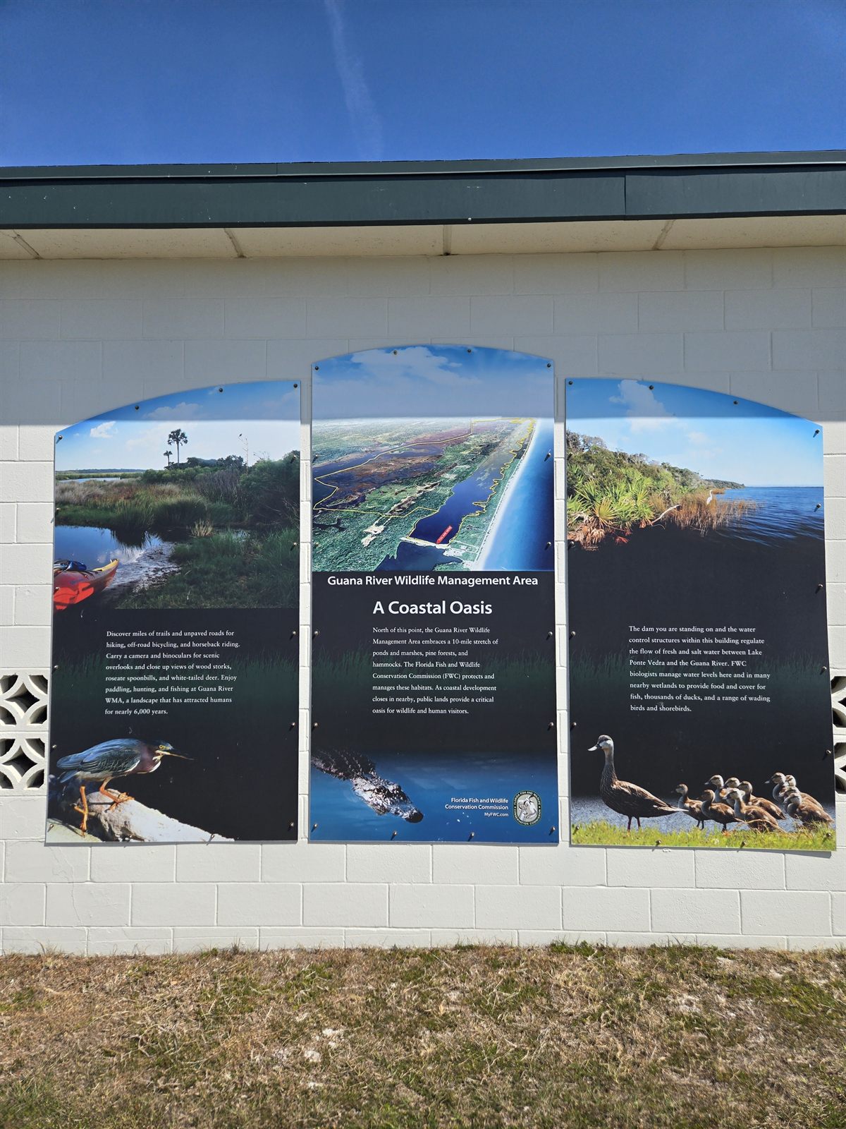 Guana, Timucuan, and South Point Loop Trail Loop - A Whole New World photo