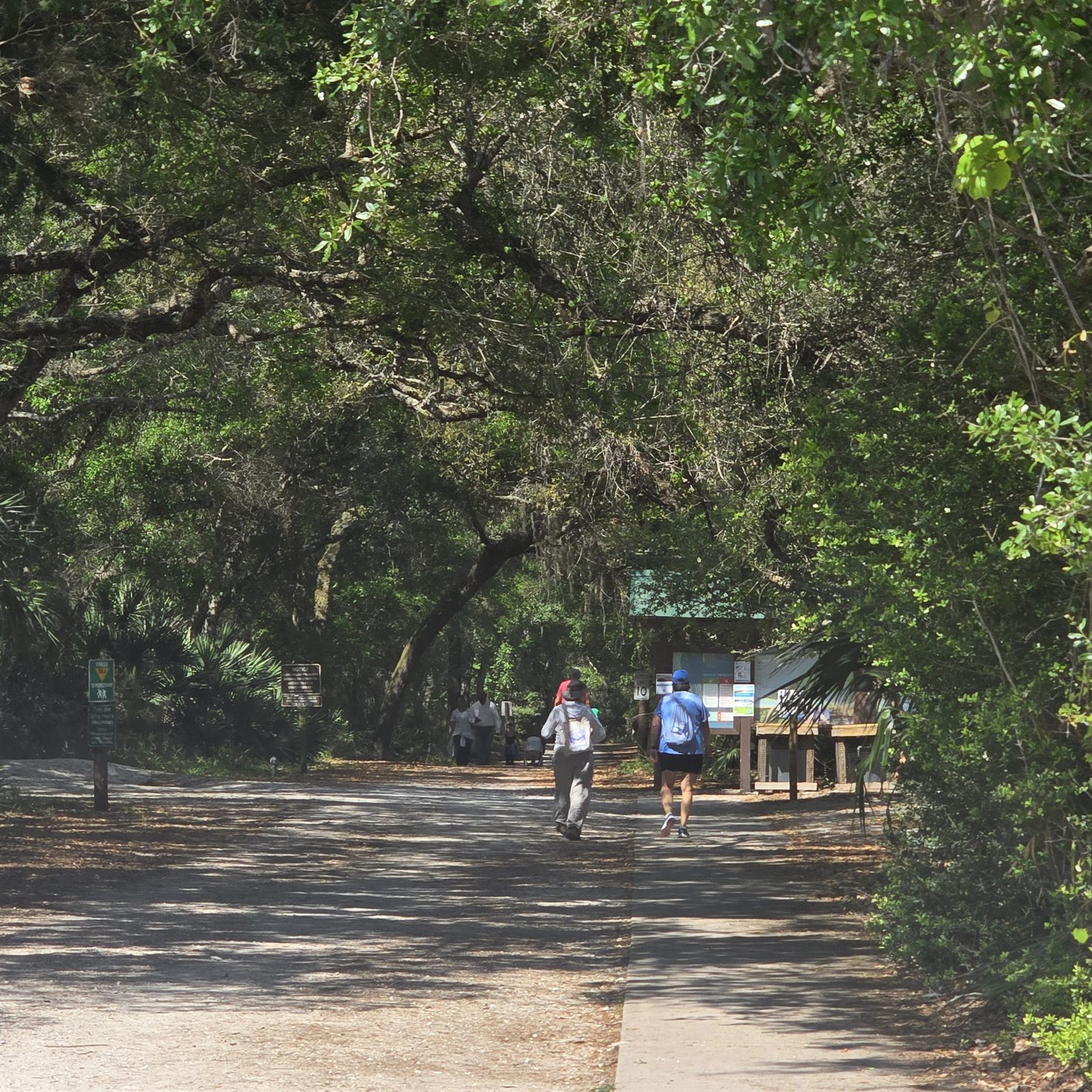 Guana, Timucuan, and South Point Loop Trail Loop - Trail Head photo