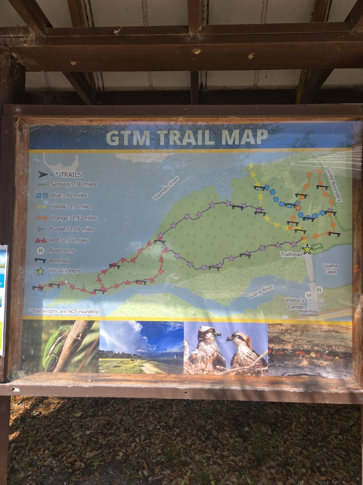 Guana, Timucuan, and South Point Loop Trail Loop - Trail Map photo