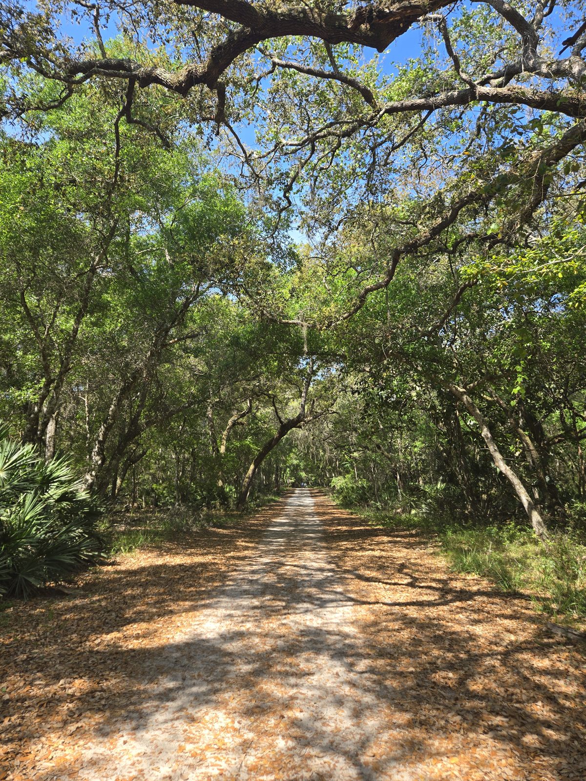 Guana, Timucuan, and South Point Loop Trail Loop - Trail Map photo