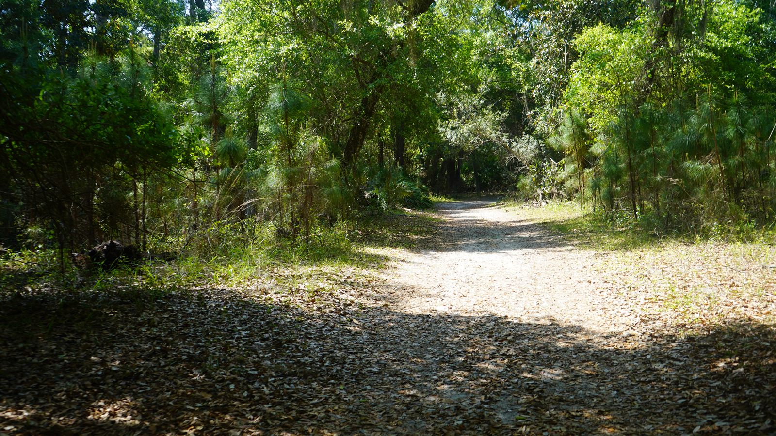 Guana, Timucuan, and South Point Loop Trail Loop - The Paths Taken photo