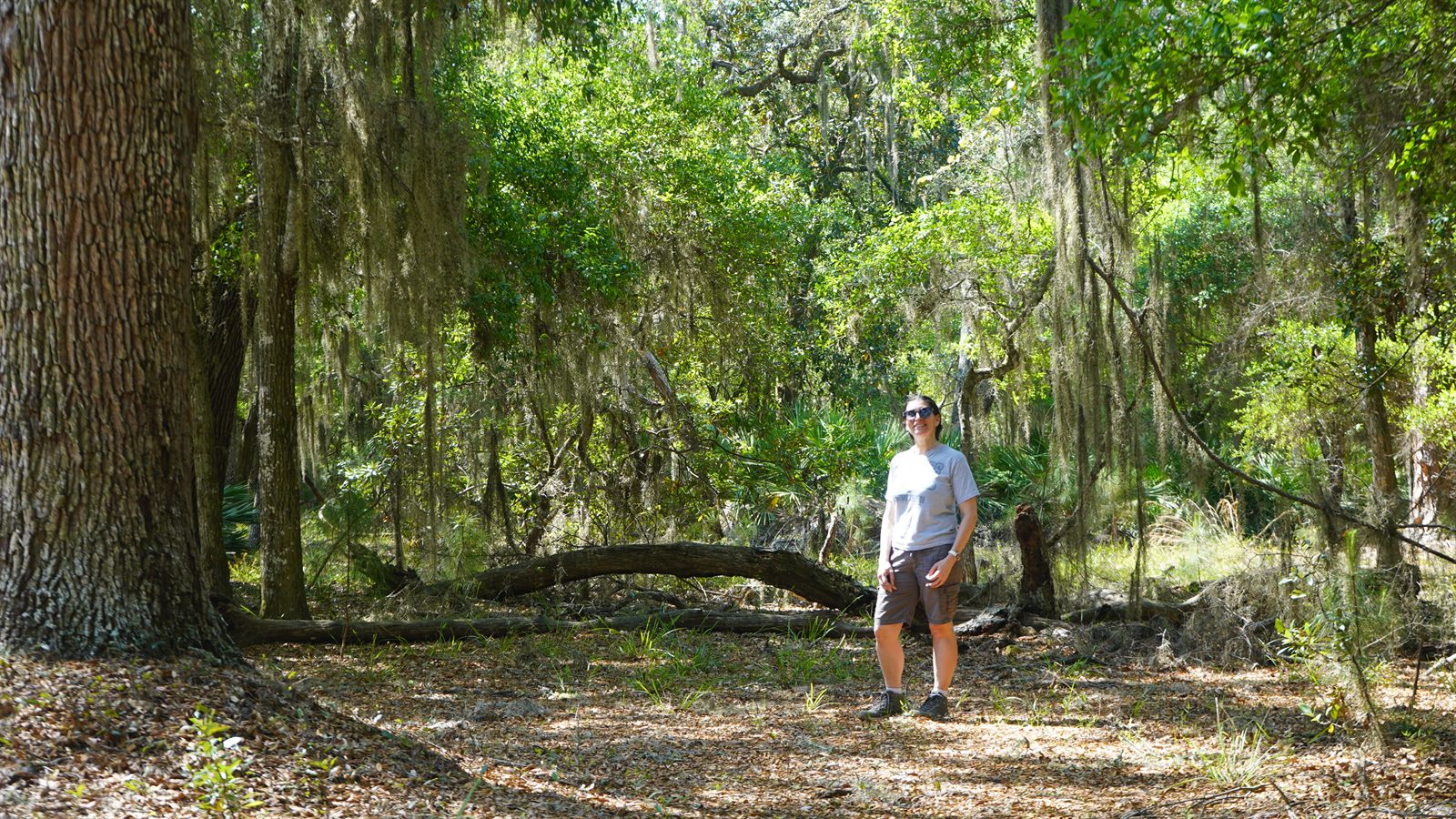 Guana, Timucuan, and South Point Loop Trail Loop - Beauty and Majesty photo
