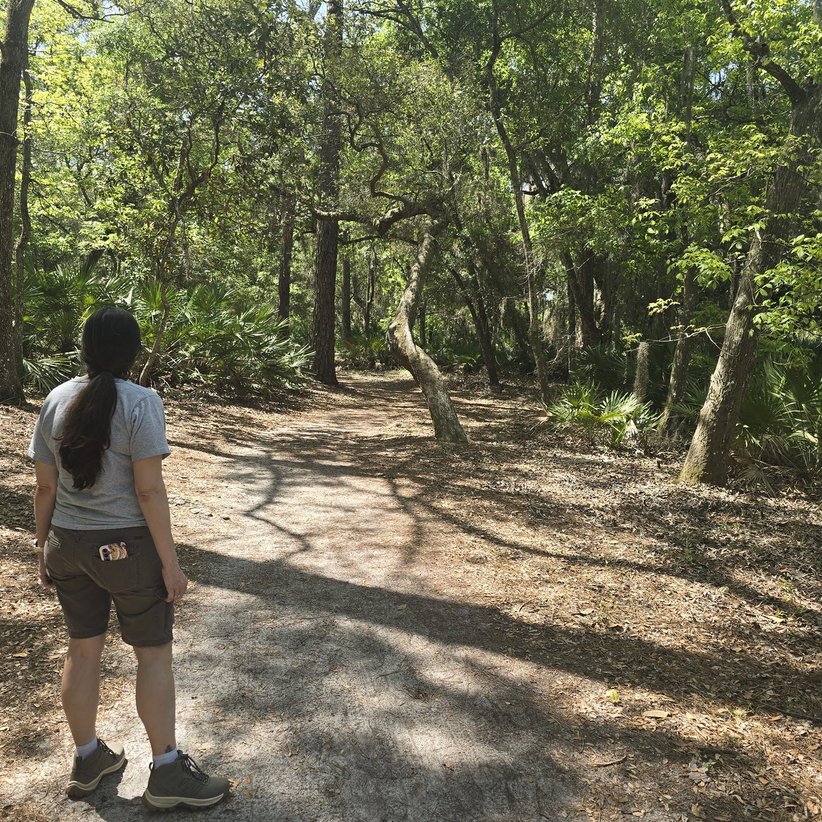 Guana, Timucuan, and South Point Loop Trail Loop - Stephanie Takes Point photo