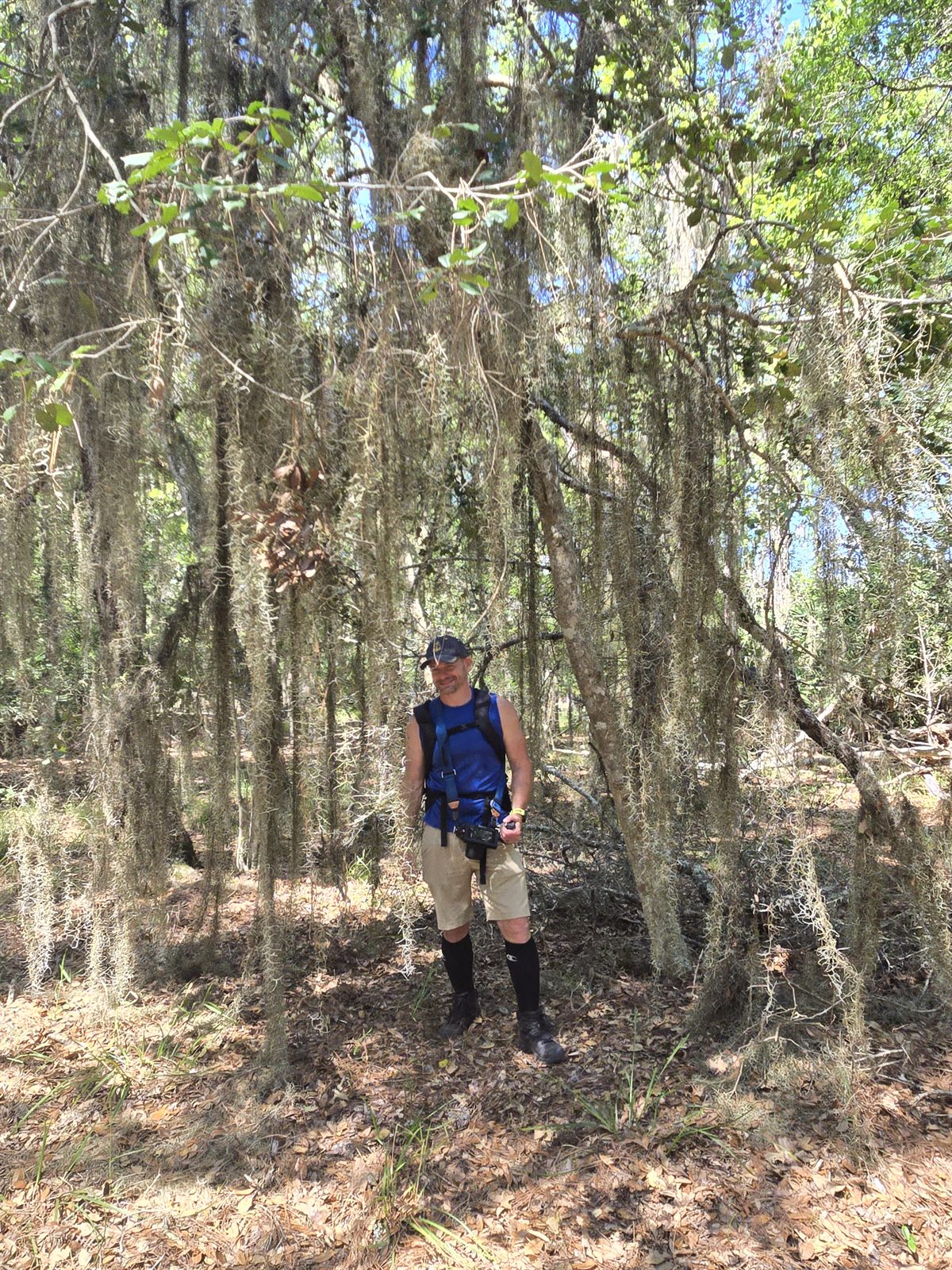 Guana, Timucuan, and South Point Loop Trail Loop - Under the Canopy photo