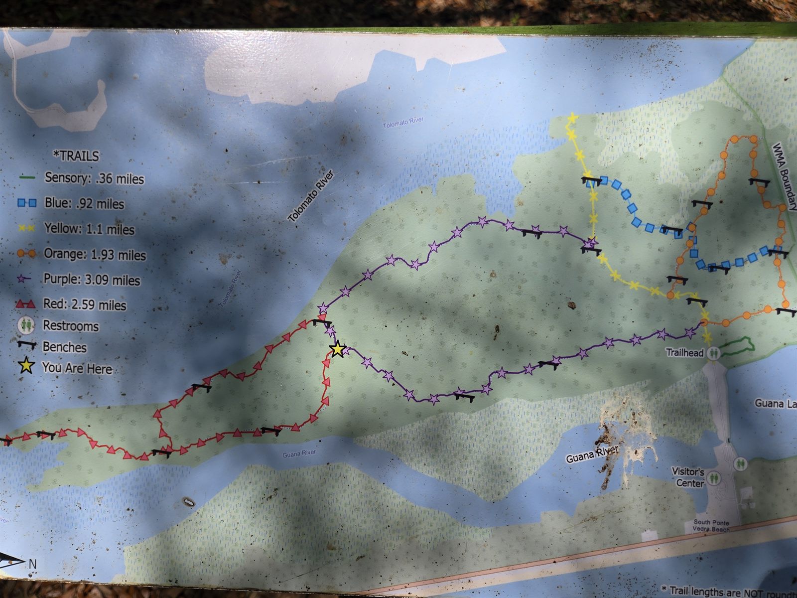 Guana, Timucuan, and South Point Loop Trail Loop - Purple's Demise and Red's Rise photo