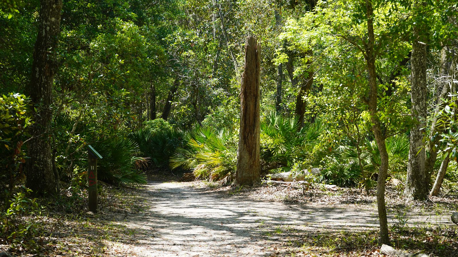 Guana, Timucuan, and South Point Loop Trail Loop - Signs of Water Ahead photo