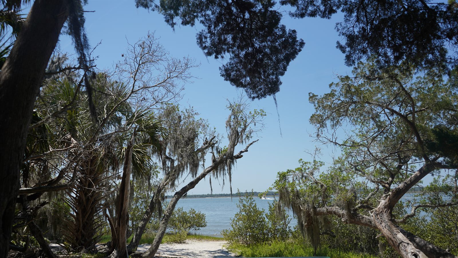 Guana, Timucuan, and South Point Loop Trail Loop - Signs of Water Ahead photo