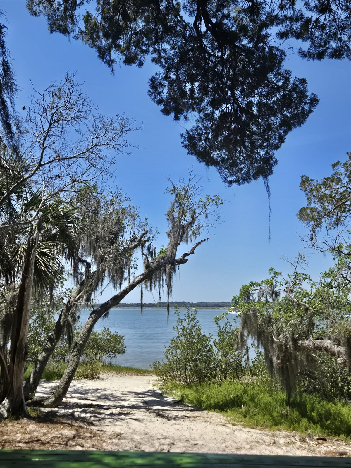 Guana, Timucuan, and South Point Loop Trail Loop - Beach at Last photo
