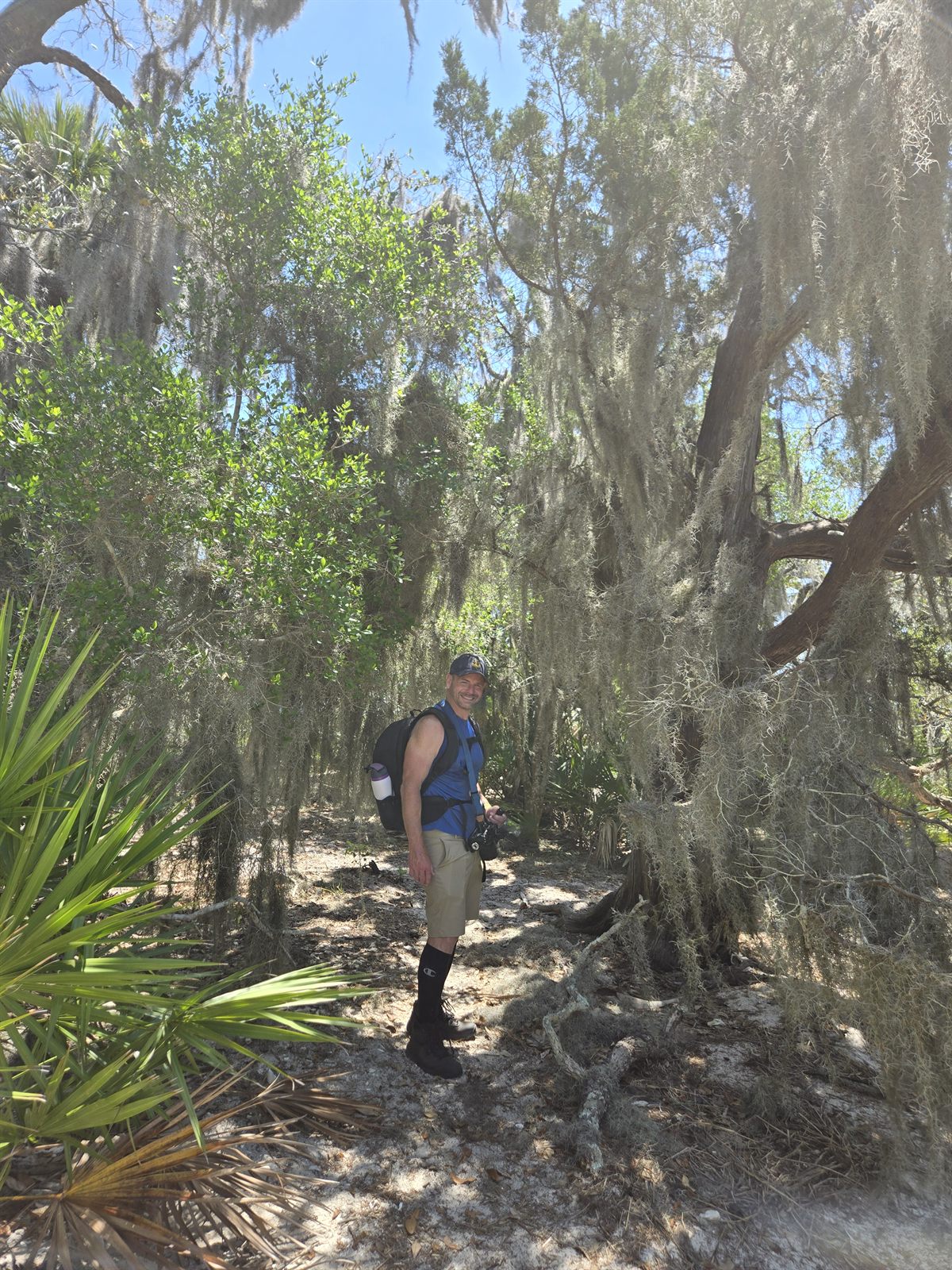 Guana, Timucuan, and South Point Loop Trail Loop - Driftwood and Sunlight photo