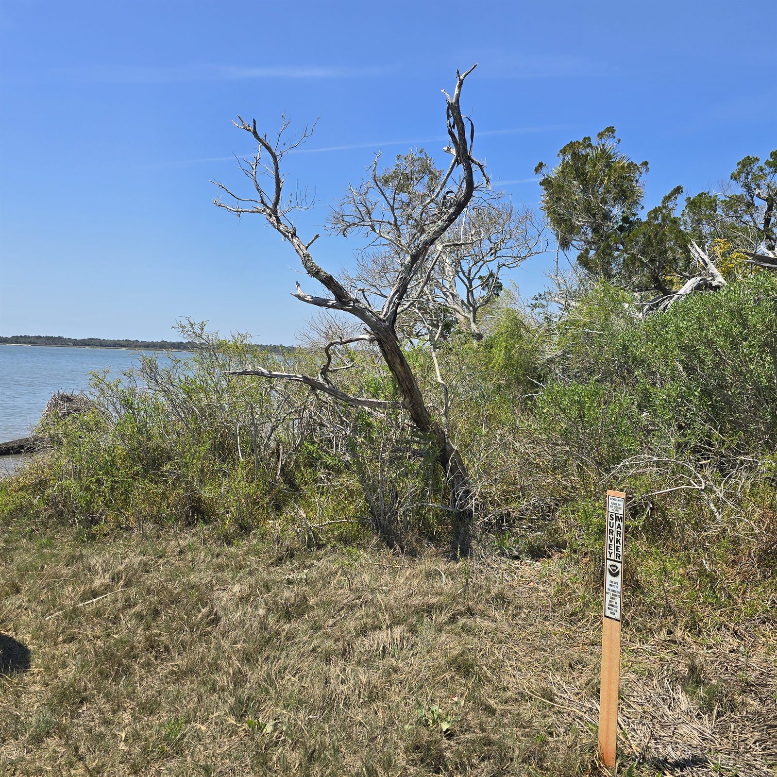 Guana, Timucuan, and South Point Loop Trail Loop - Weathered on the Edge photo