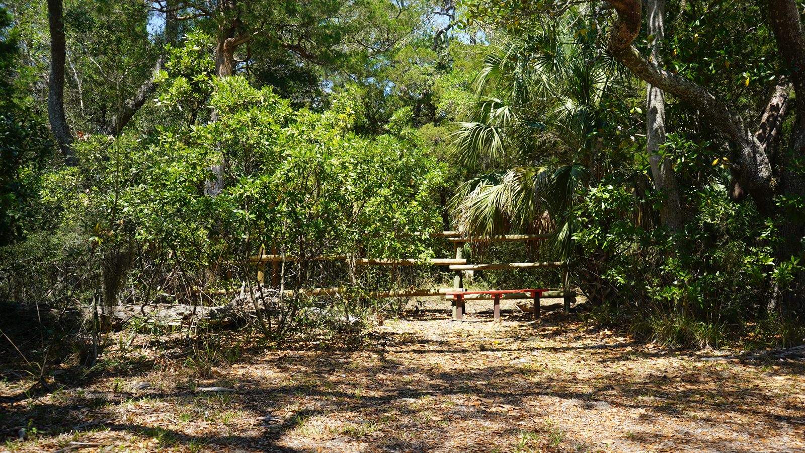 Guana, Timucuan, and South Point Loop Trail Loop - Another Place to Pause photo