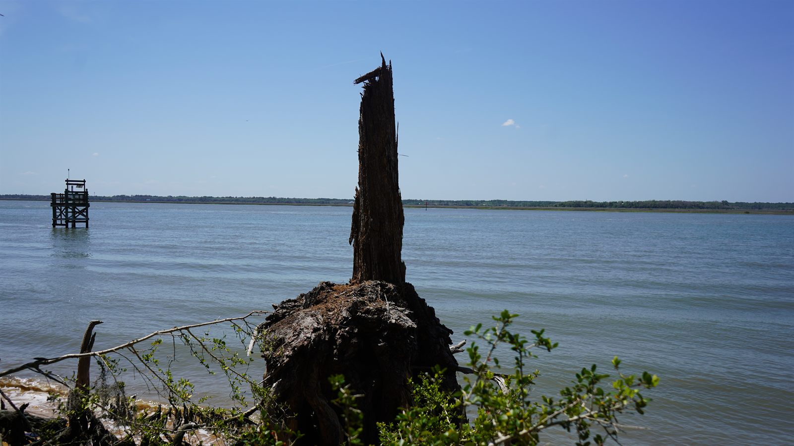 Guana, Timucuan, and South Point Loop Trail Loop - Life, Death, and the Tide photo