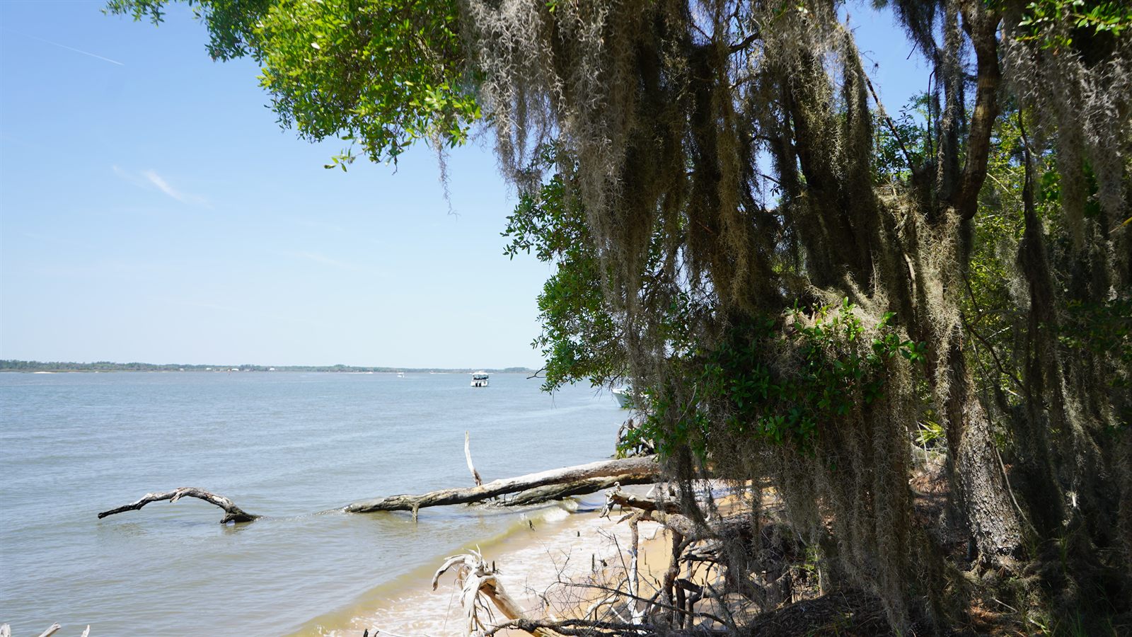 Guana, Timucuan, and South Point Loop Trail Loop - Life, Death, and the Tide photo