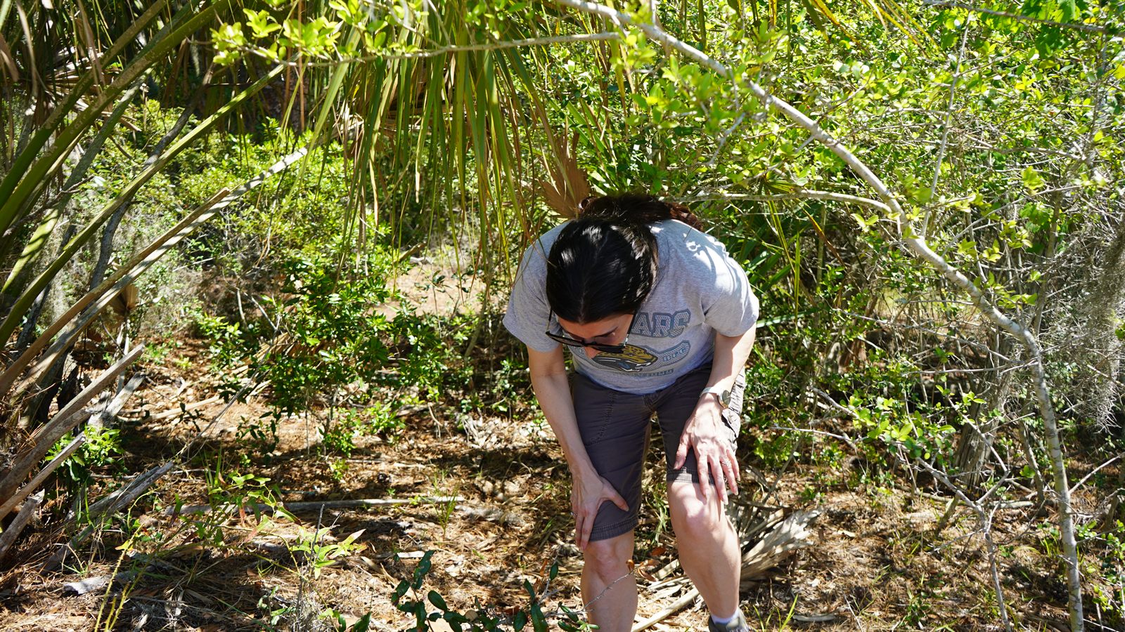 Guana, Timucuan, and South Point Loop Trail Loop - Ducking Off the Path photo