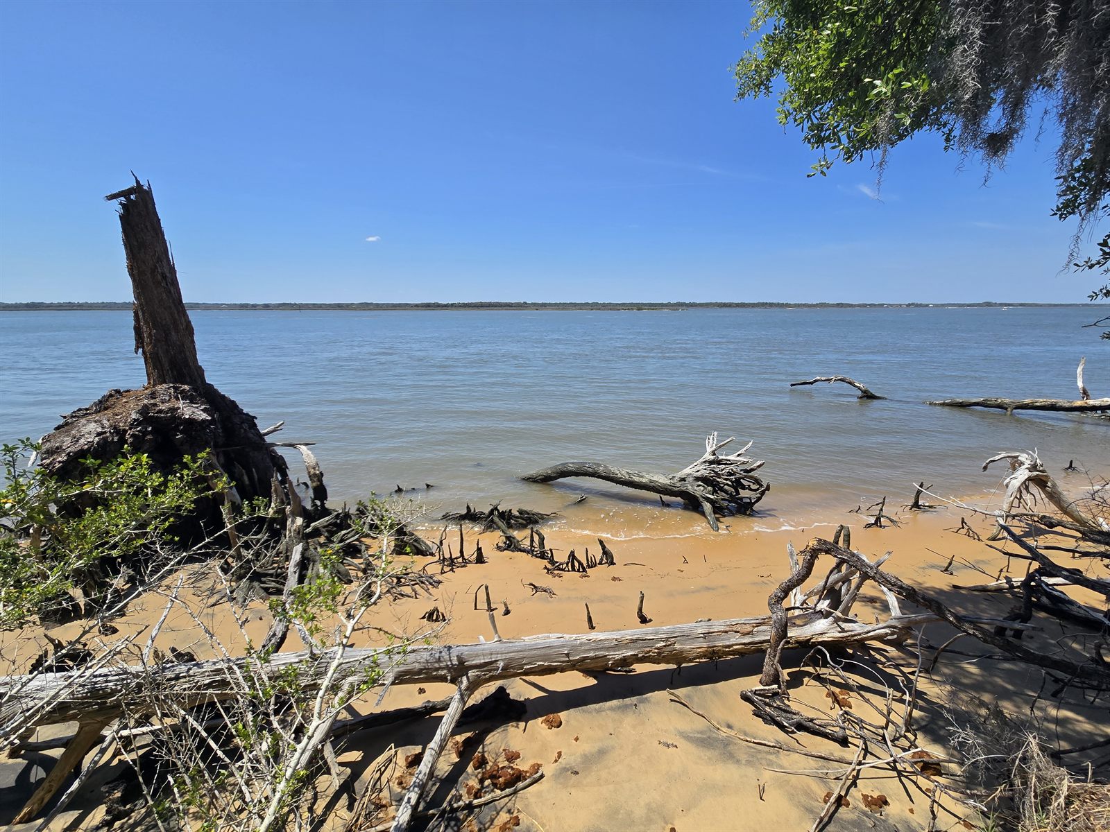 Guana, Timucuan, and South Point Loop Trail Loop - The Trail Isn't Done With Us Yet photo