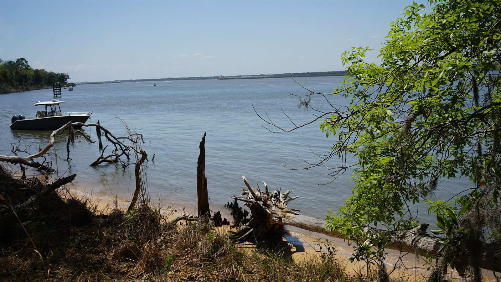 Guana, Timucuan, and South Point Loop Trail Loop - The Edge of the Woods photo