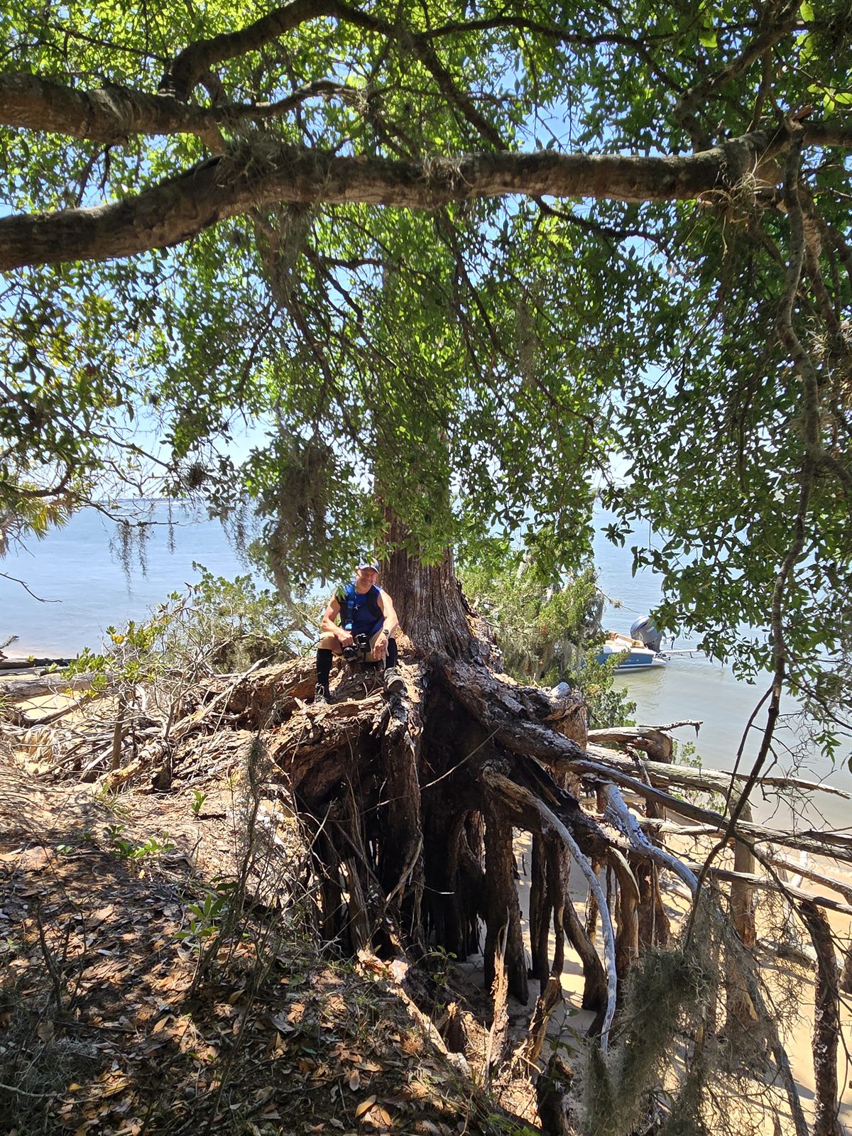 Guana, Timucuan, and South Point Loop Trail Loop - King of the Forest photo