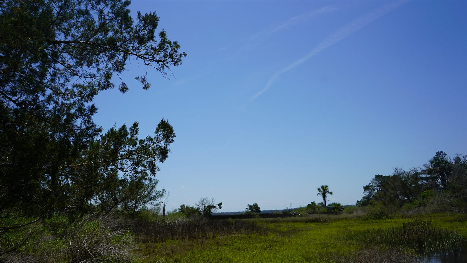 Guana, Timucuan, and South Point Loop Trail Loop - The Clearing and the Pond photo