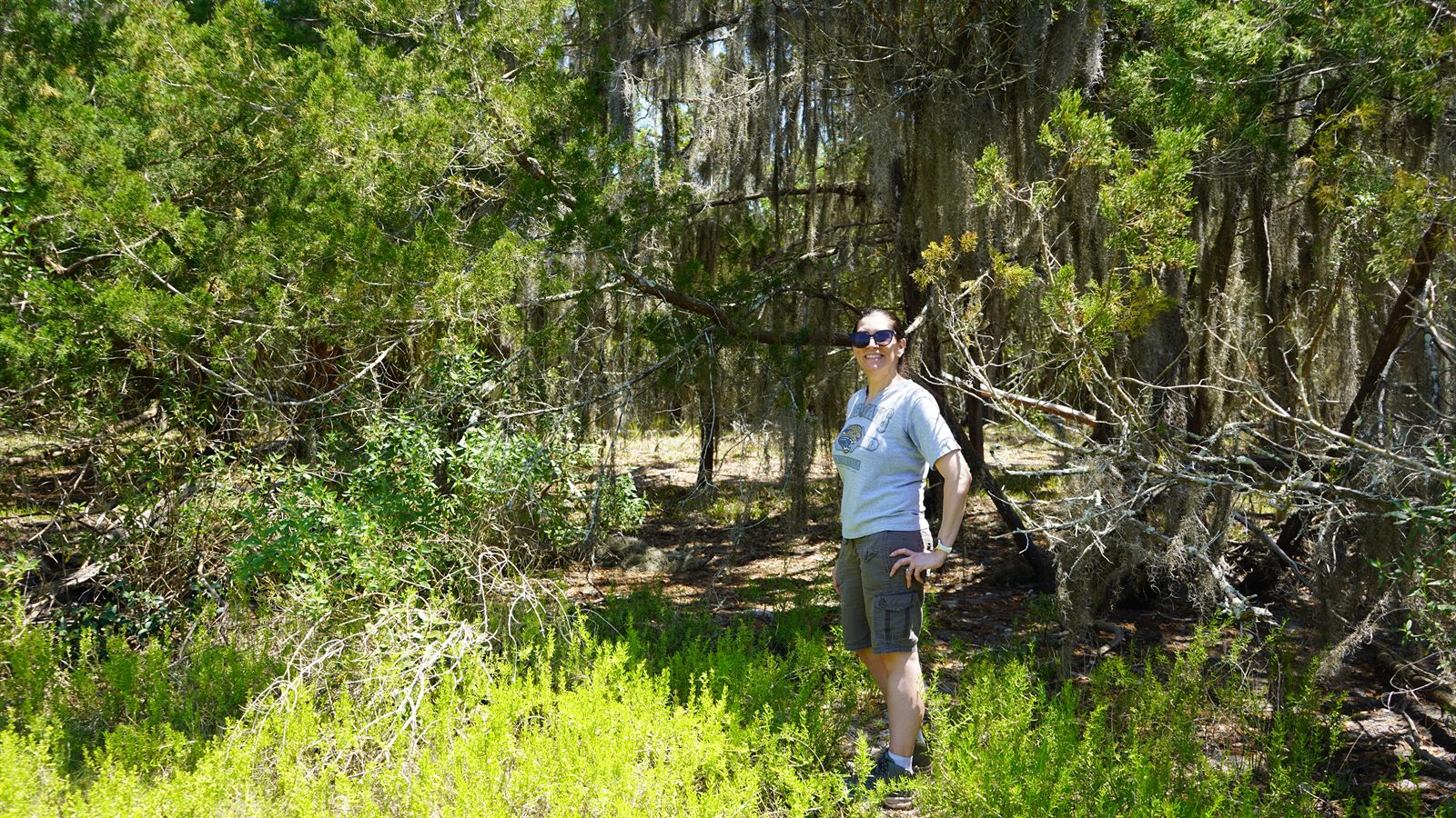 Guana, Timucuan, and South Point Loop Trail Loop - The Clearing and the Pond photo