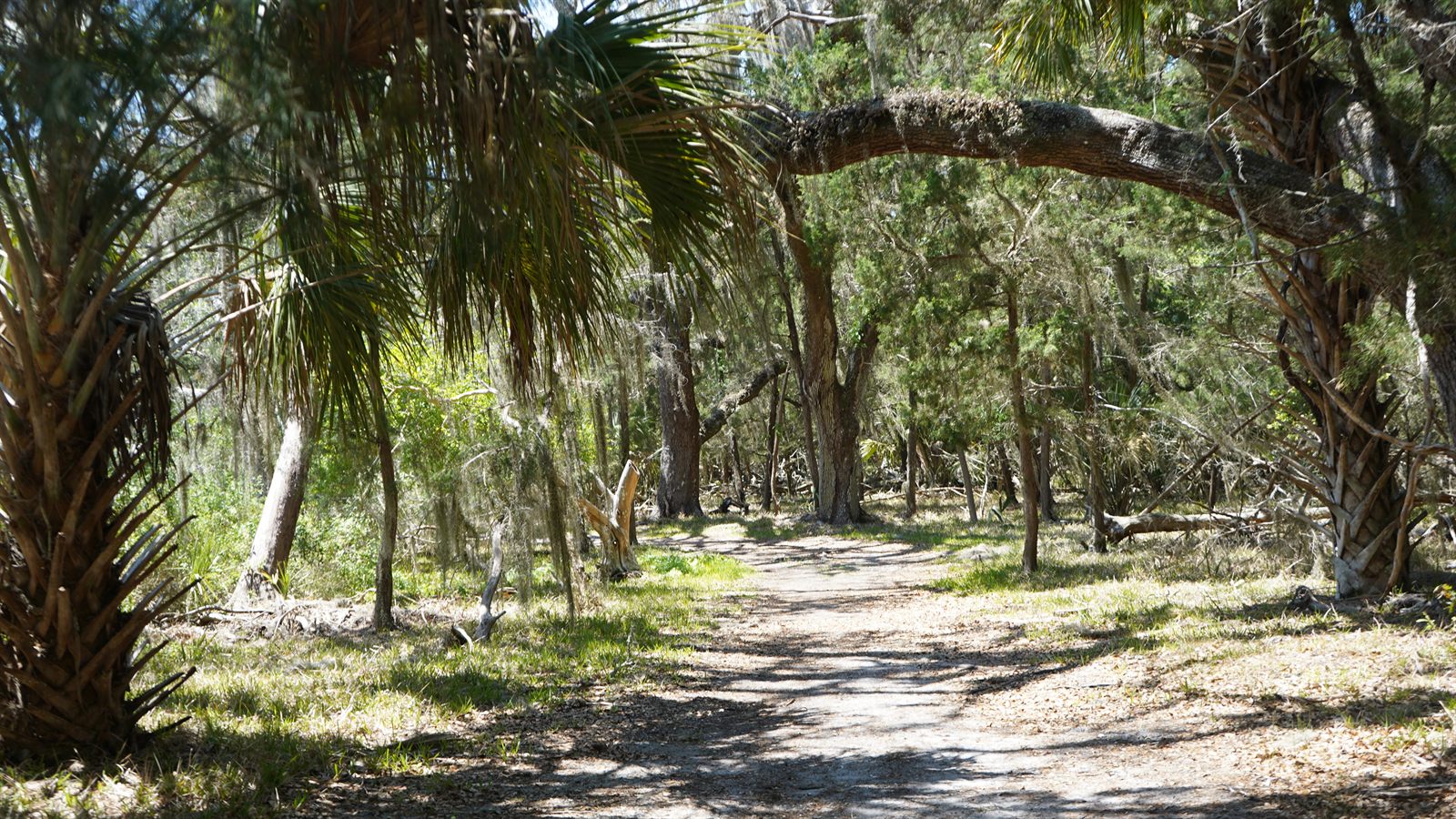 Guana, Timucuan, and South Point Loop Trail Loop - The Wandering Way Home photo