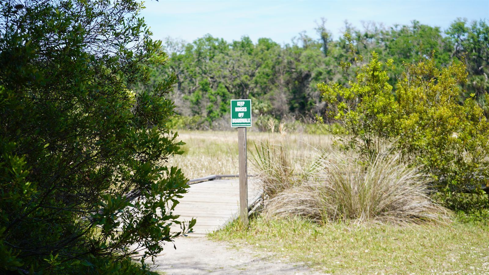 Guana, Timucuan, and South Point Loop Trail Loop - The Lonely Bridge over Nothing photo