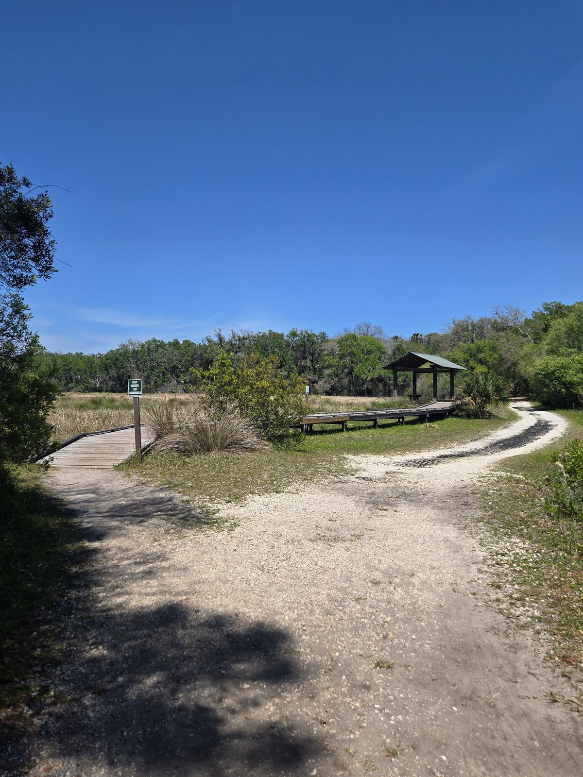 Guana, Timucuan, and South Point Loop Trail Loop - The Lonely Bridge over Nothing photo