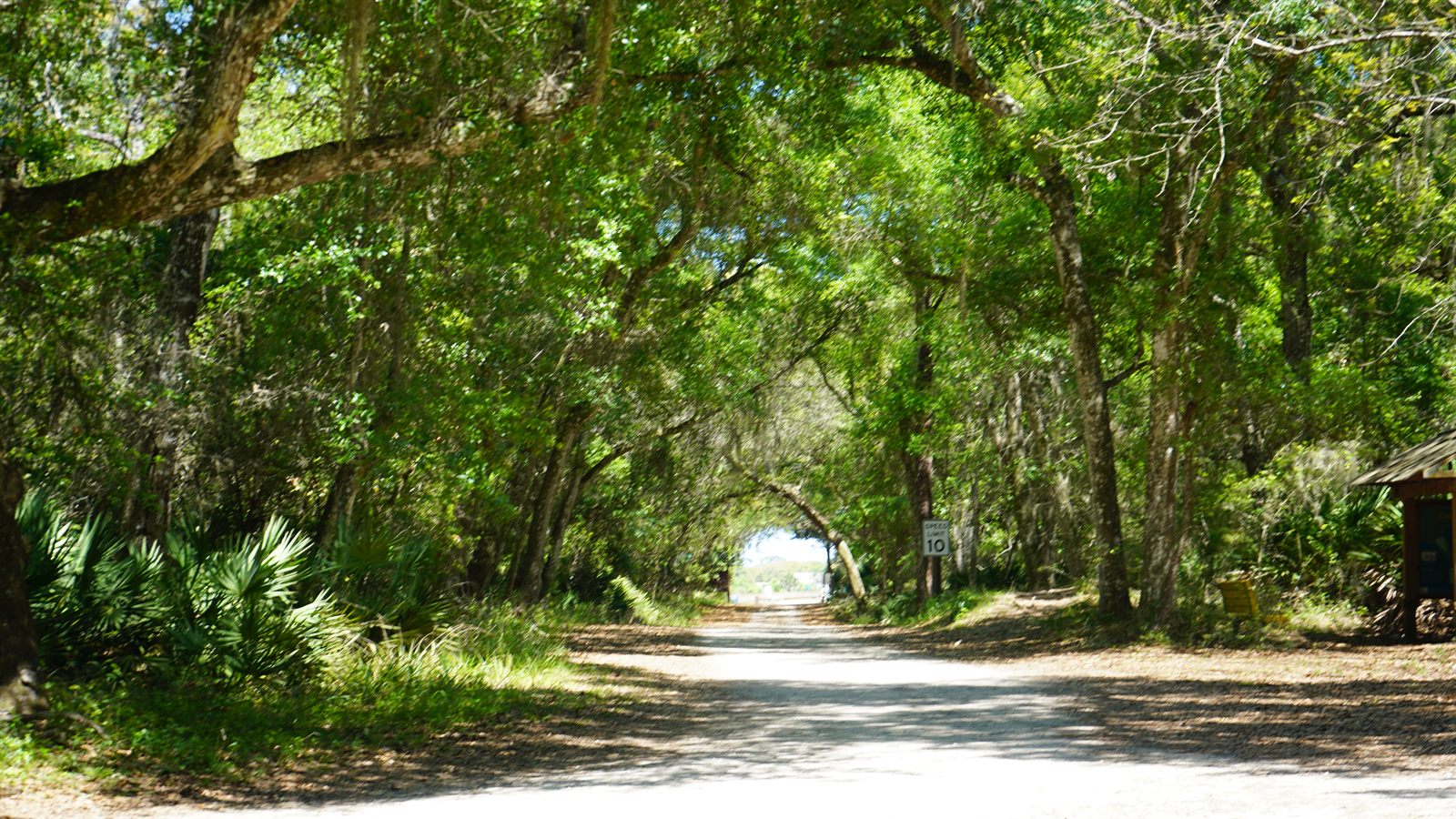 Guana, Timucuan, and South Point Loop Trail Loop - One Look Back photo